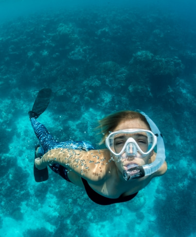 Person diving in the sea