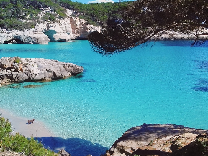 Coastal area of Cala Ferrera