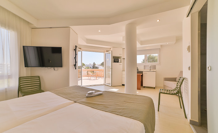 Spacious apartment with access to a beautiful terrace