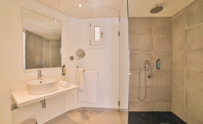 Modern bathroom with shower and countertop sink